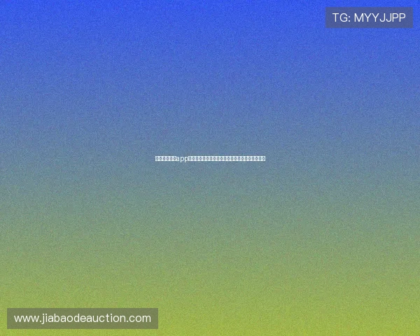 雷速体育直播app打造极速专业赛事观看新体验指南全方位深度解析